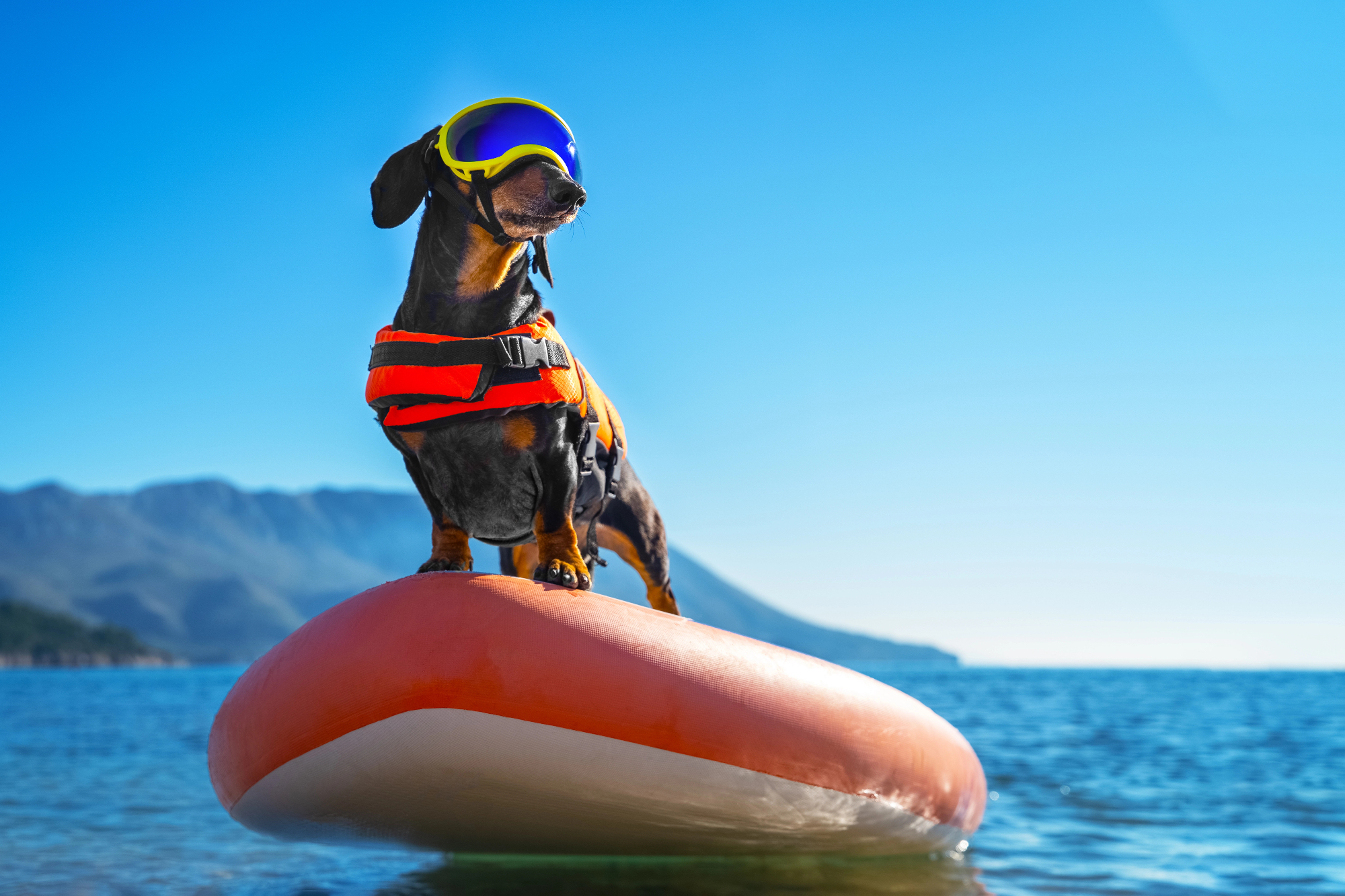 Scoprire la libertà delle escursioni in acqua con una tavola sup gonfiabile